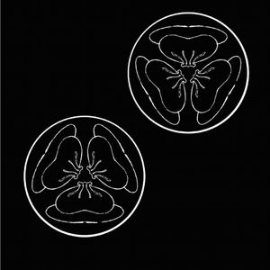 我脱了老师内裤摸她爆尿了
